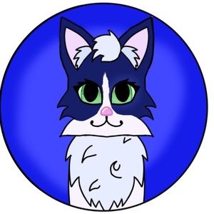 Meet your Posher, Skye